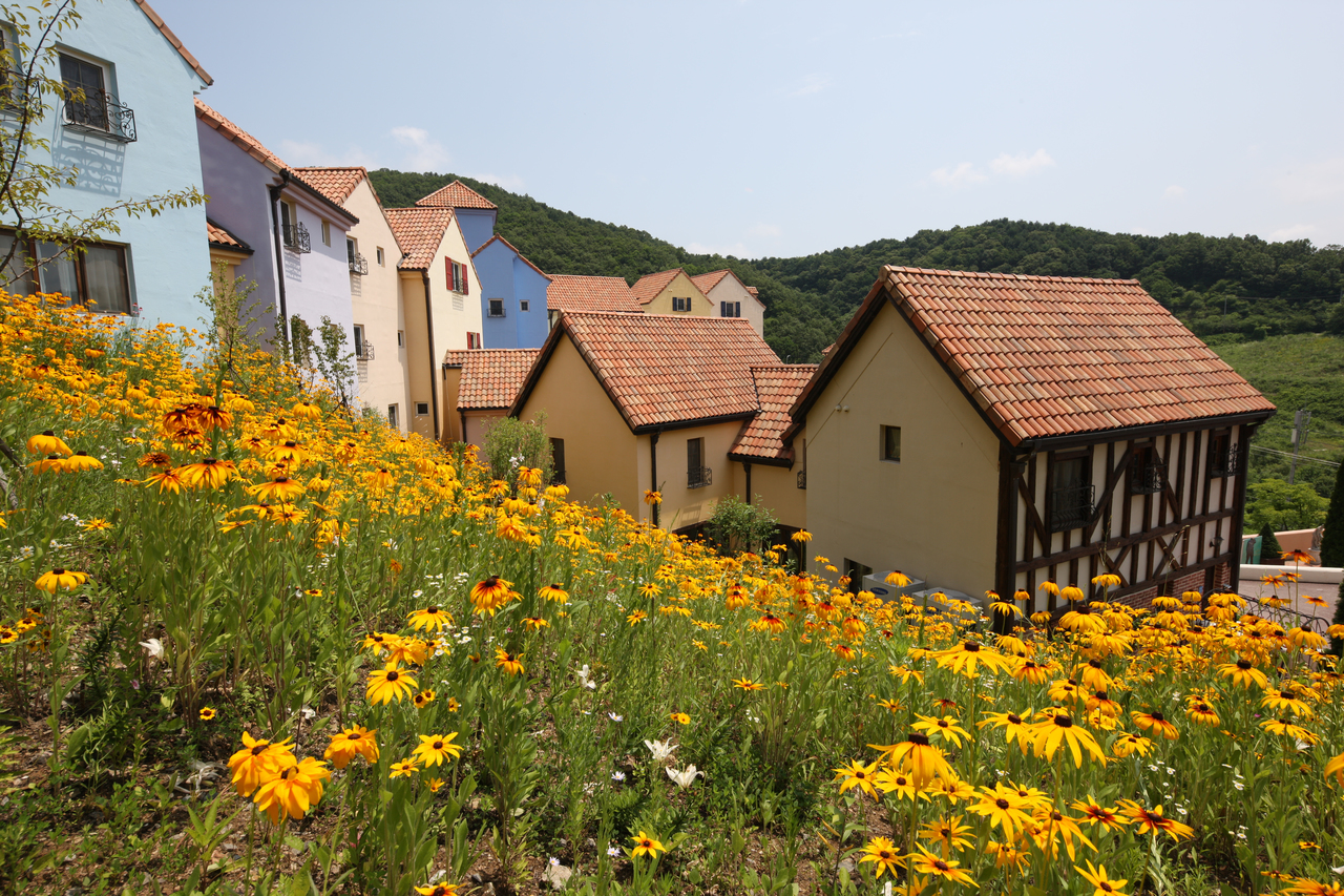 Nami Island, Petite France, Garden of Morning Calm and Gangchon Rail Bike Tour - Photo 1 of 8